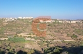 DJI_0030