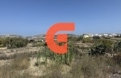558615833_122157678476771857_7441124286063053778_n
