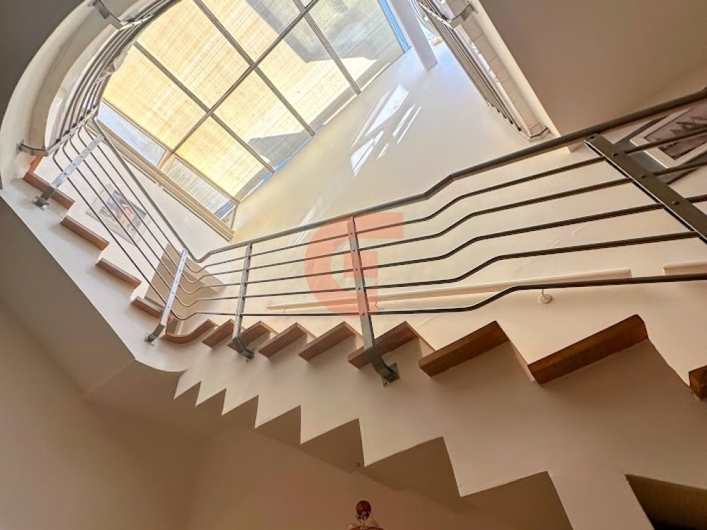 IMG_6157-EDIT IMG_6157-EDIT