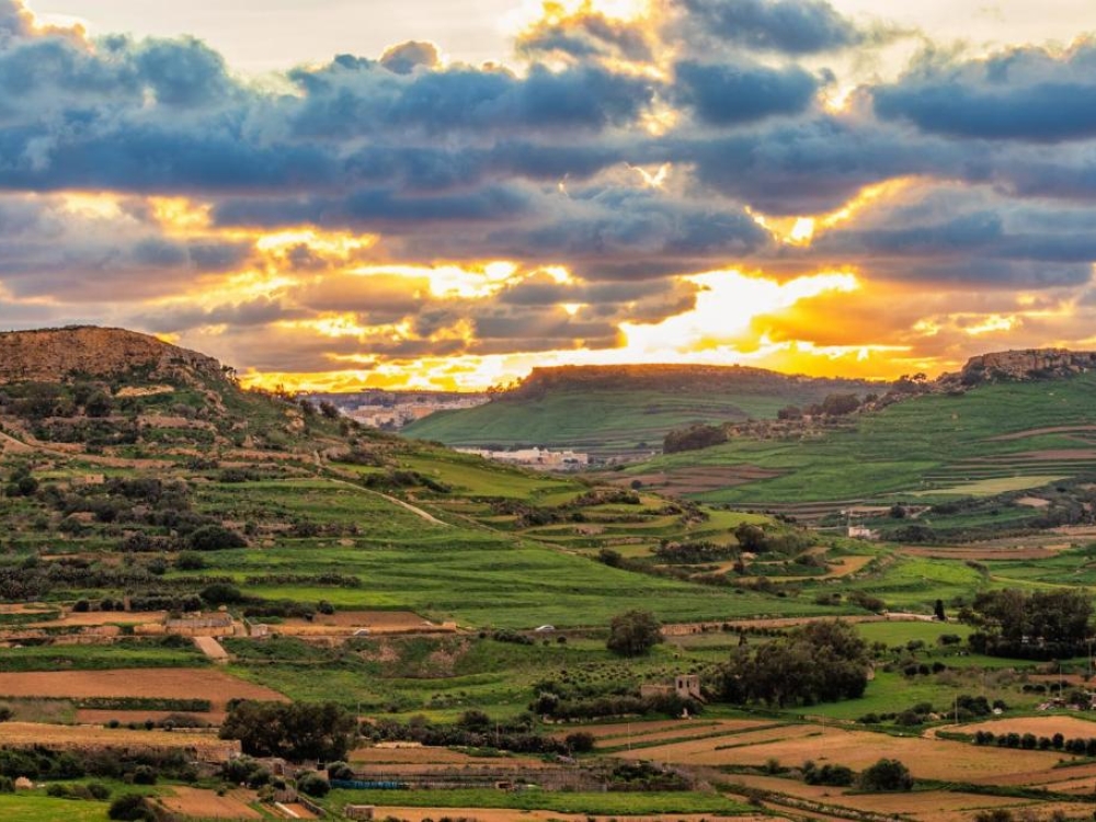 WhatsApp Image 2025-11-18 at 16.53.09 WhatsApp Image 2025-11-18 at 16.53.09