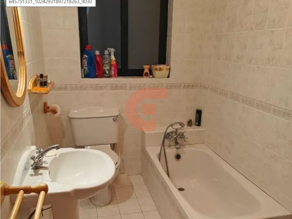 Screenshot 2026-03-14 213947