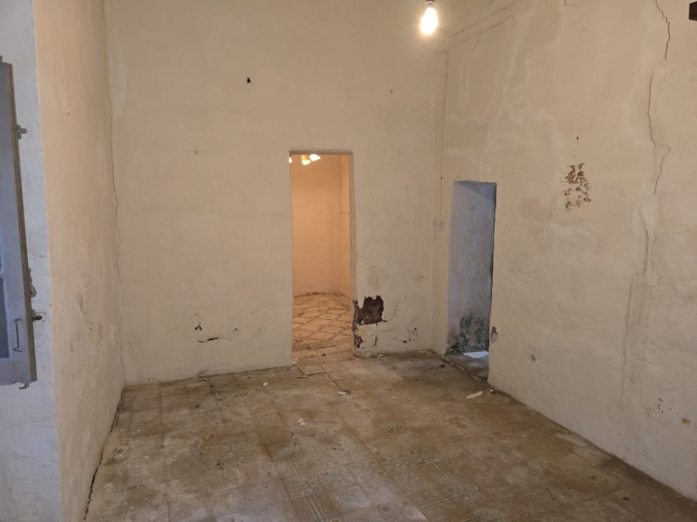 WhatsApp Image 2026-03-25 at WhatsApp Image 2026-03-25 at