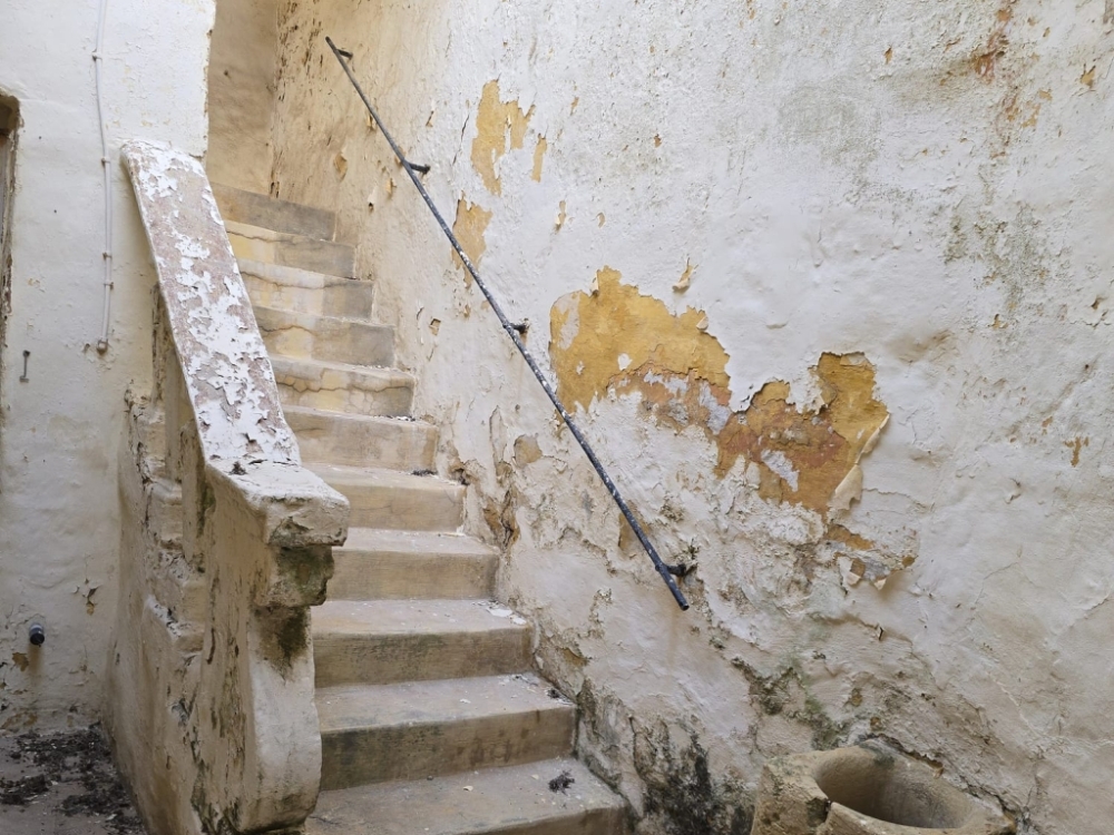 WhatsApp Image 2026-03-25 at 17.07.50nnnnnn WhatsApp Image 2026-03-25 at 17.07.50nnnnnn