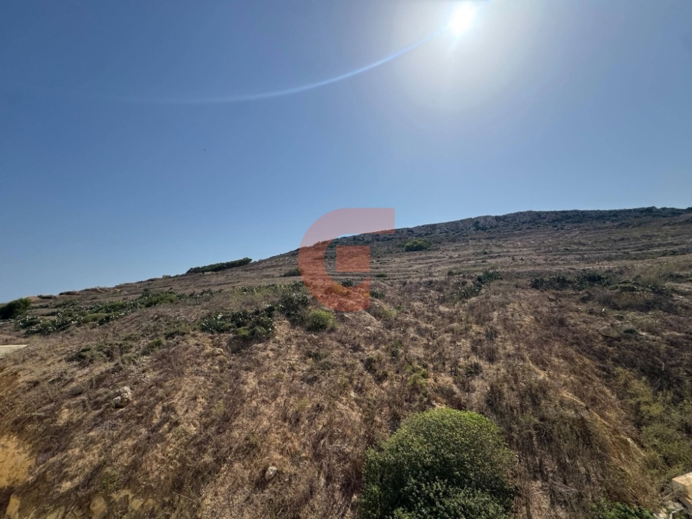 765697698_1041185038287505_1166121400460939093_n 765697698_1041185038287505_1166121400460939093_n