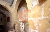 IMG_0324_professional_AI_style