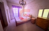 IMG_0339_professional_AI_style
